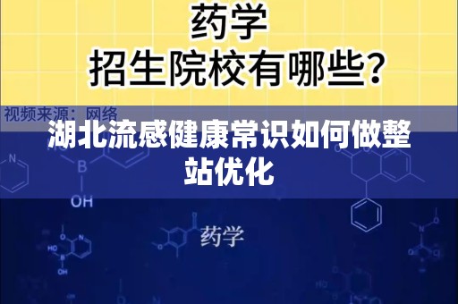 湖北流感健康常识如何做整站优化