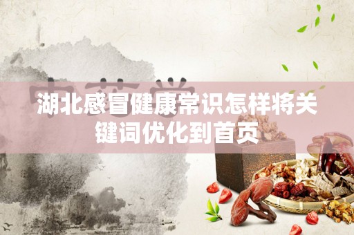 湖北感冒健康常识怎样将关键词优化到首页