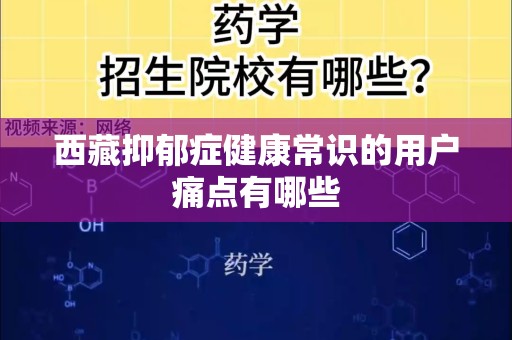 西藏抑郁症健康常识的用户痛点有哪些