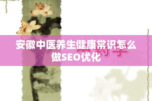 安徽中医养生健康常识怎么做SEO优化