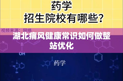湖北痛风健康常识如何做整站优化