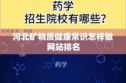 河北矿物质健康常识怎样做网站排名