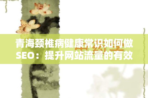 青海颈椎病健康常识如何做SEO：提升网站流量的有效策略