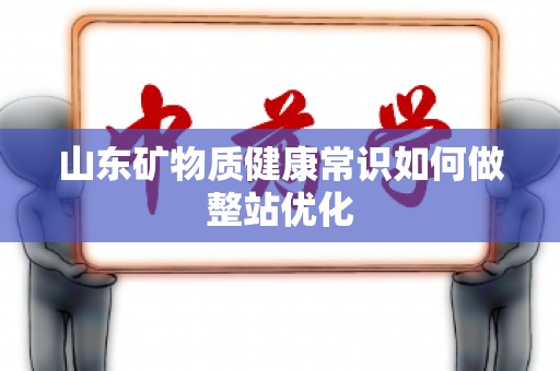 山东矿物质健康常识如何做整站优化