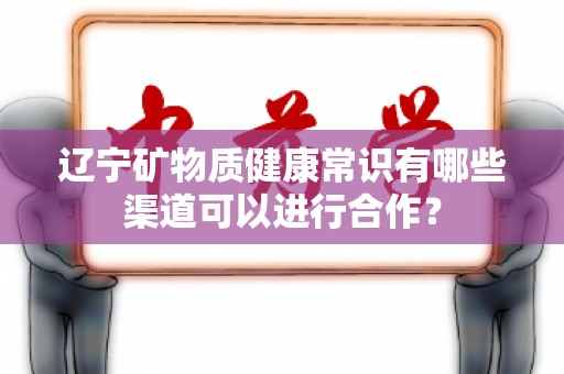 辽宁矿物质健康常识有哪些渠道可以进行合作？