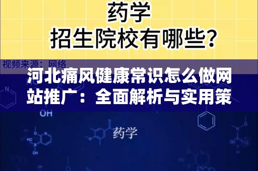 河北痛风健康常识怎么做网站推广：全面解析与实用策略