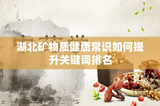 湖北矿物质健康常识如何提升关键词排名