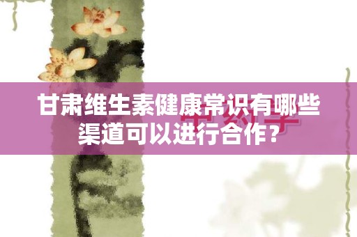 甘肃维生素健康常识有哪些渠道可以进行合作？