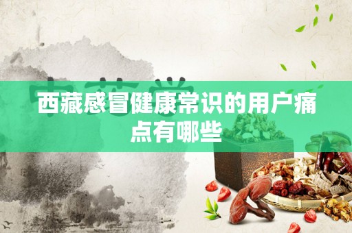 西藏感冒健康常识的用户痛点有哪些