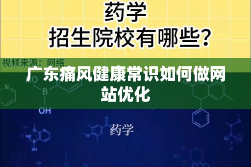 广东痛风健康常识如何做网站优化