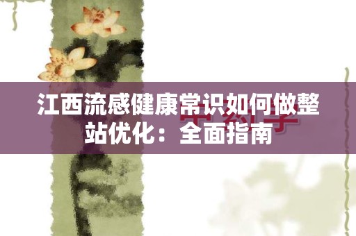 江西流感健康常识如何做整站优化：全面指南