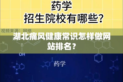 湖北痛风健康常识怎样做网站排名？