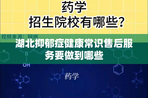 湖北抑郁症健康常识售后服务要做到哪些