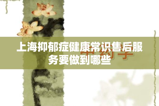 上海抑郁症健康常识售后服务要做到哪些