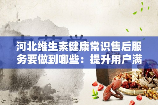 河北维生素健康常识售后服务要做到哪些：提升用户满意度的关键策略