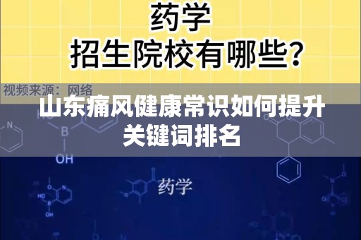 山东痛风健康常识如何提升关键词排名