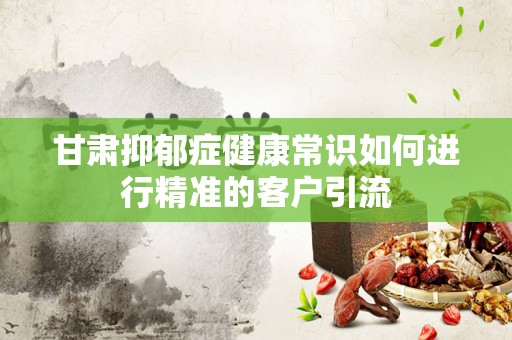 甘肃抑郁症健康常识如何进行精准的客户引流