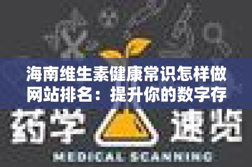 海南维生素健康常识怎样做网站排名：提升你的数字存在感