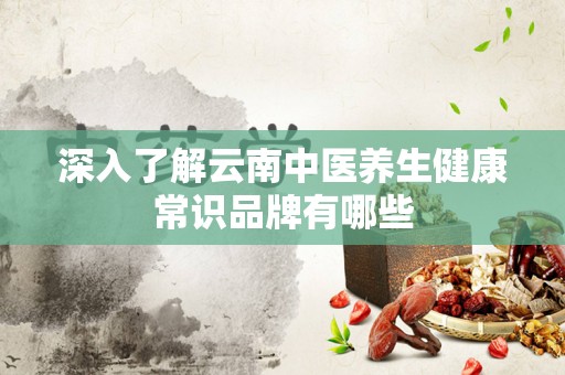 深入了解云南中医养生健康常识品牌有哪些