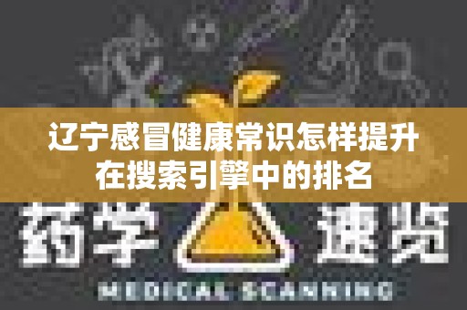 辽宁感冒健康常识怎样提升在搜索引擎中的排名