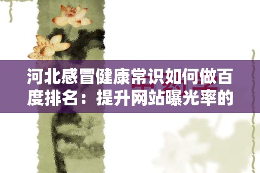 河北感冒健康常识如何做百度排名：提升网站曝光率的全面指南