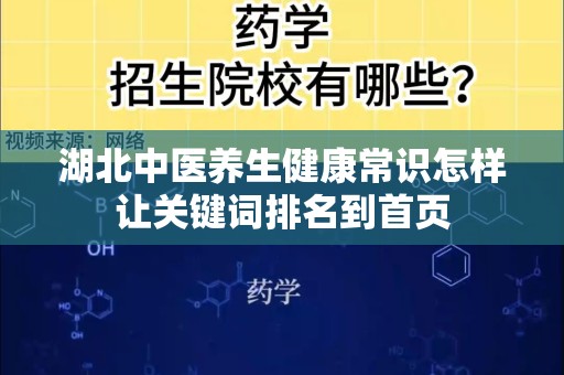 湖北中医养生健康常识怎样让关键词排名到首页