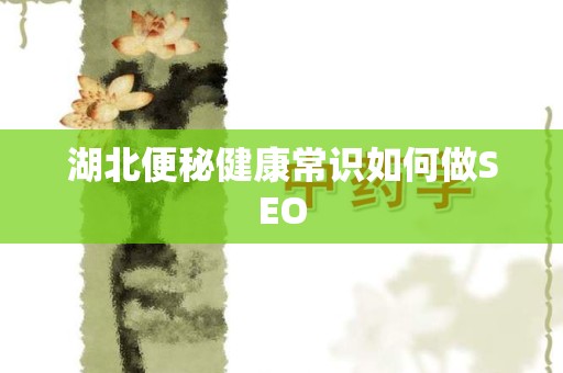 湖北便秘健康常识如何做SEO