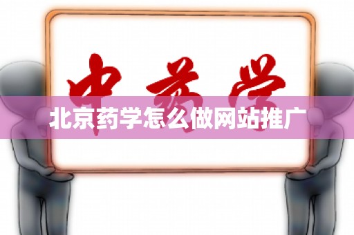 北京药学怎么做网站推广