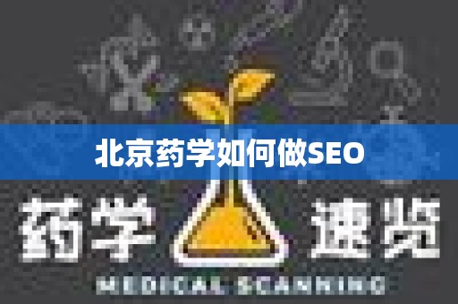 北京药学如何做SEO
