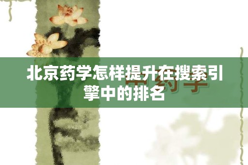 北京药学怎样提升在搜索引擎中的排名